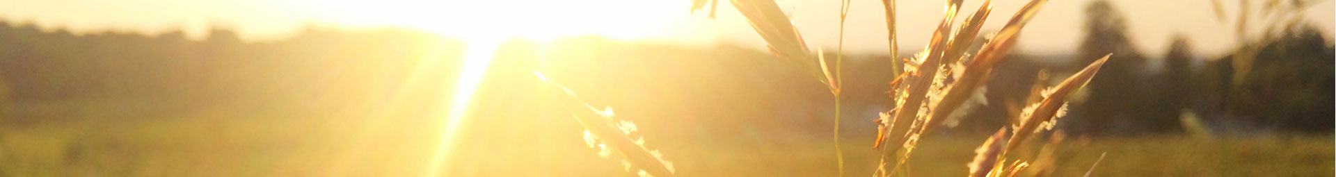 丹陽(yáng)網(wǎng)站建設(shè)公司